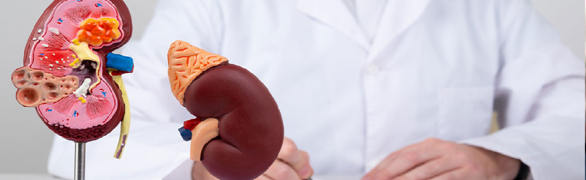 nephrology-hospitals-banner
