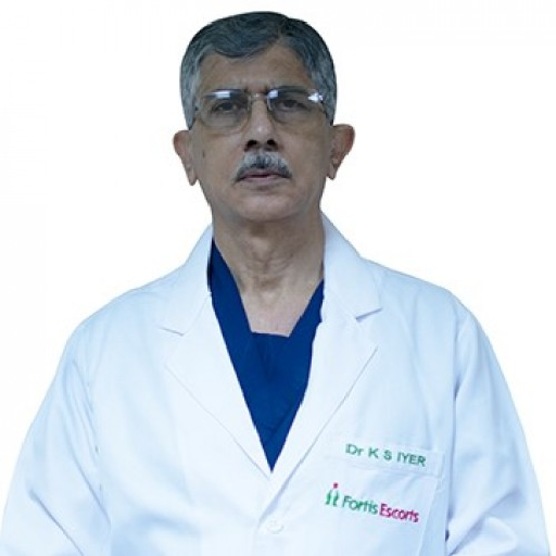 Highly Qualified Specialists
