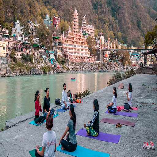 Holistic Healing Environment