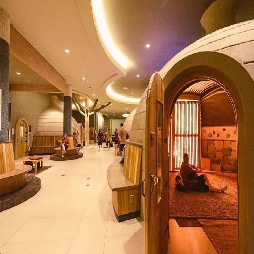 Holistic Recovery Environment